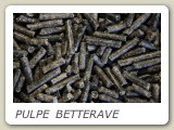 PULPE_BETTERAVE : apport en cellulose digestive et pectine
